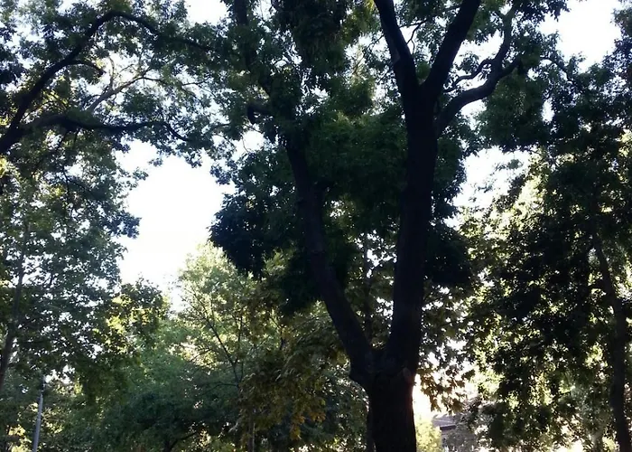 Appartamento Sunny Facing The Park Budapest